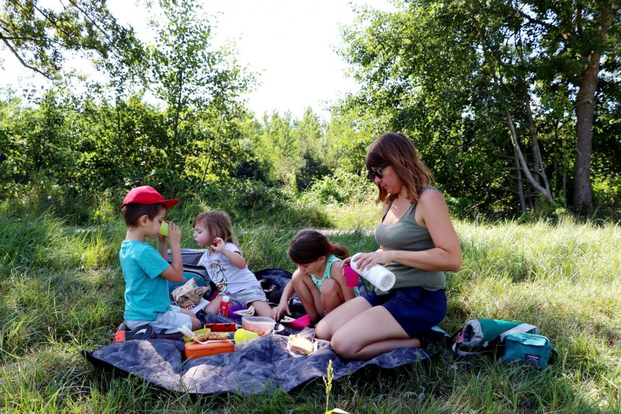 TOP 5 des balades gratuites à faire avec les enfants !