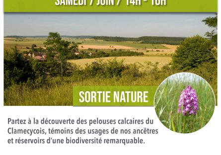 Sortie nature : pelouse calcaires, un patrimoine à préserver