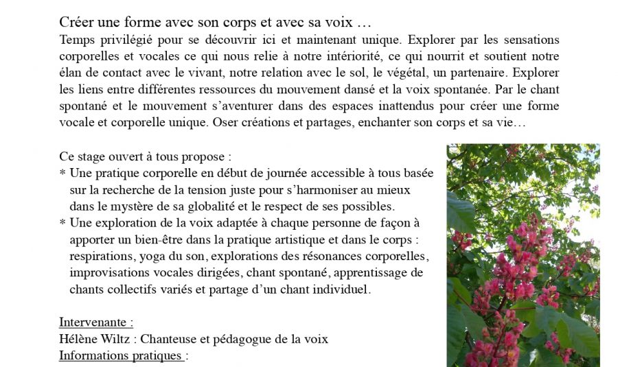 14-au-19-juillet-stage-chant-a-breves_page-0001