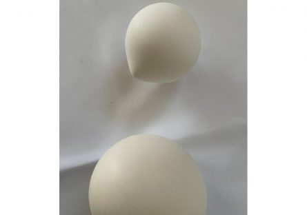 Exposition  « L’harmonie des mains »