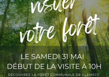 VENEZ VISITER VOTRE FORÊT