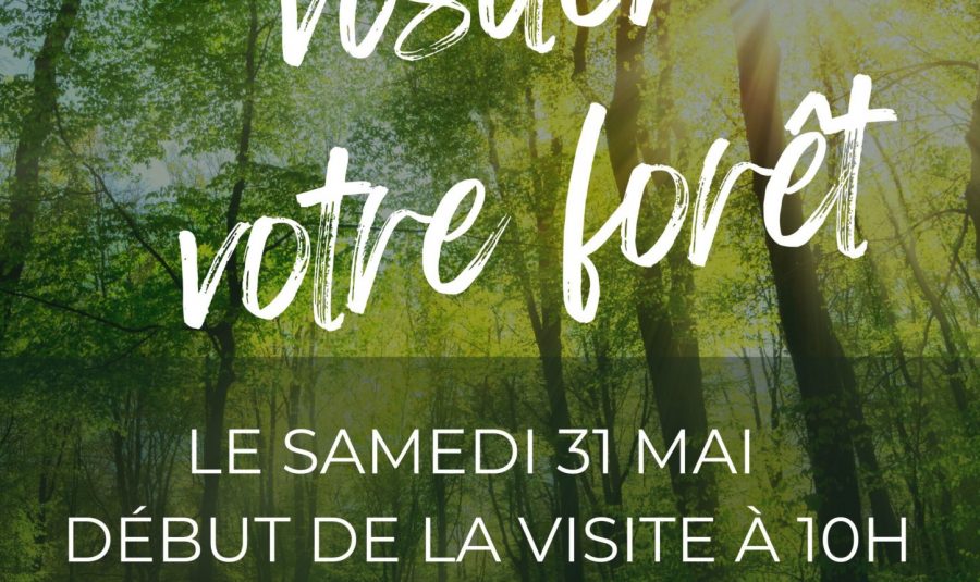 31-mai-2025-venez-visiter-votre-foret-clamecy