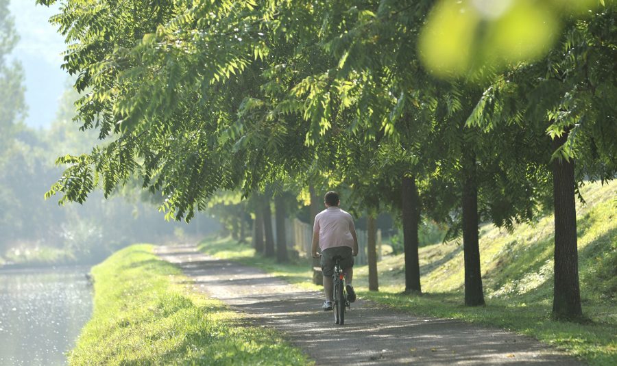 Vélo au bord du canal Nivernais à Clamecy