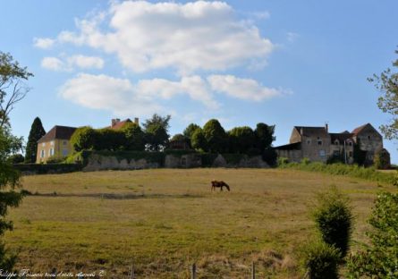 ASNOIS- 14 p.m.-17 p.m. – TRAIN PAWS HIKE – 12 km