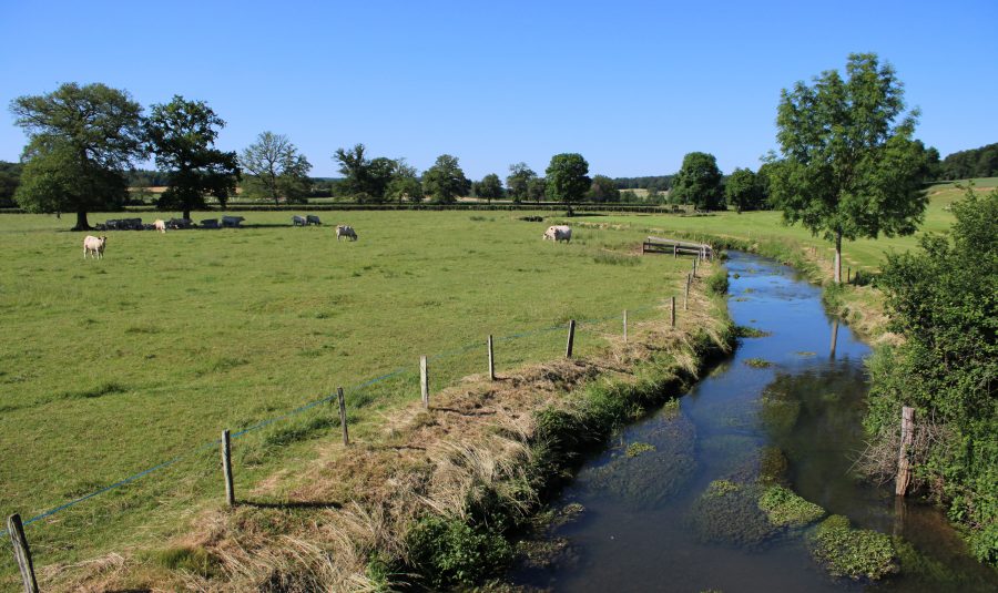 D140_PontNièvre-Chaume