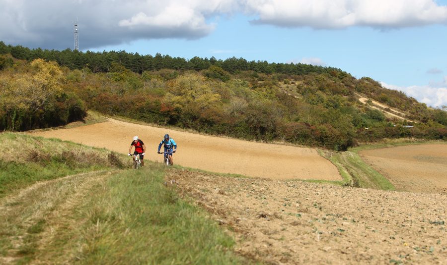 Op het MTB-circuit nr. 3 (groen) van Varzy