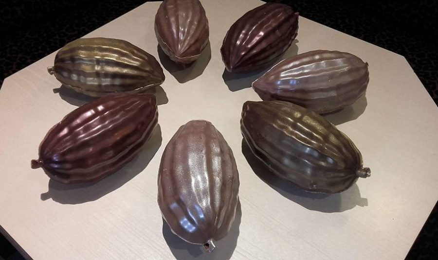 Feves en chocolat Emmanuel Portal